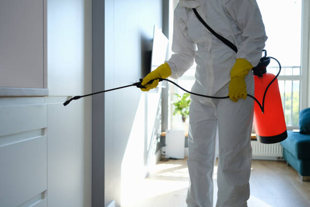 Best Mold Remediation  in High Springs, FL